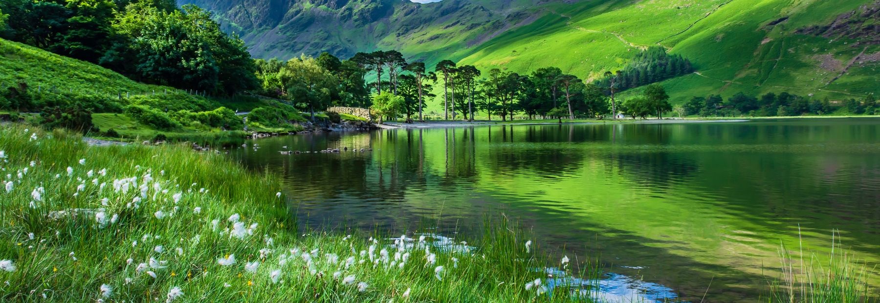Scenic photo of lake