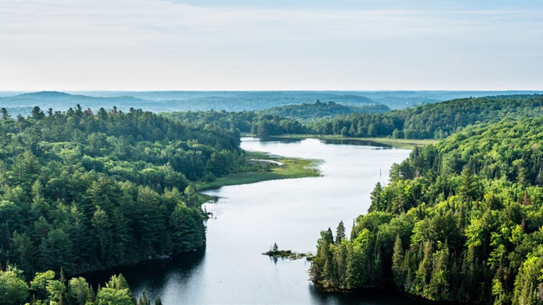 Landscape with a lake and trees