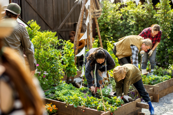 Group of people gardening