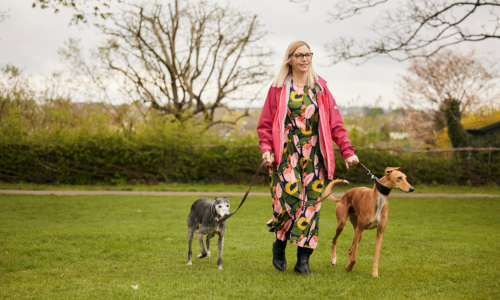 Woman walking to two dogs in park