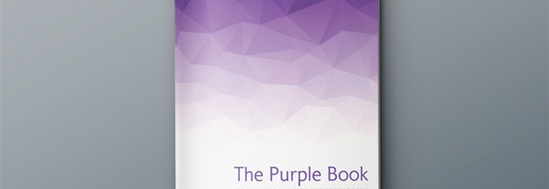 purple book cover 1024x700