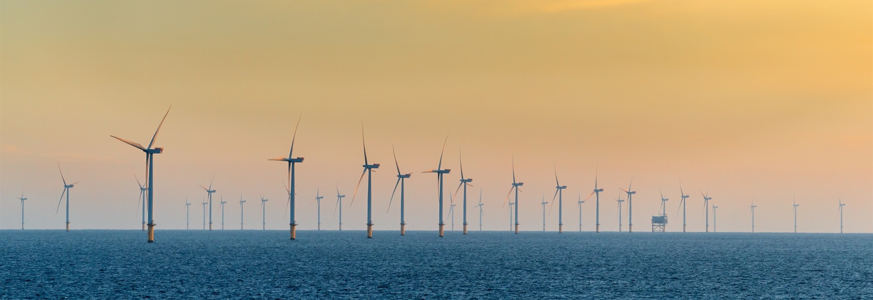 1265546645 CaseStudy Hero Media